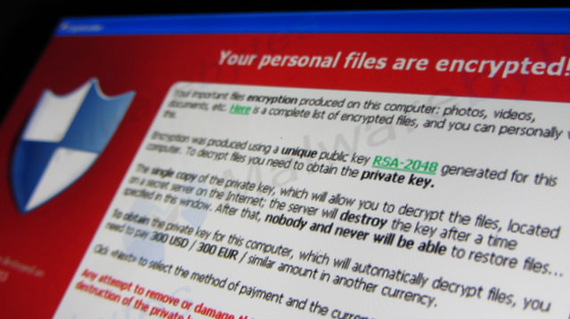 Microsoft also reports that Windows Defender is able to detect and get rid of ZCryptor.